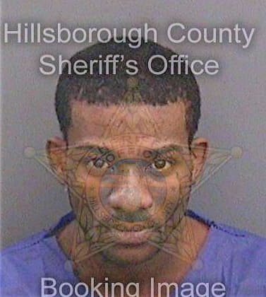 Howard Dangelo - Hillsborough County, FL 