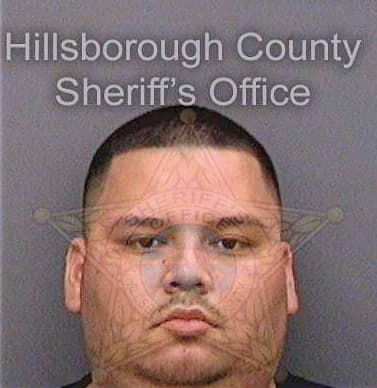 Dealejandrorodriguez Raul - Hillsborough County, FL 