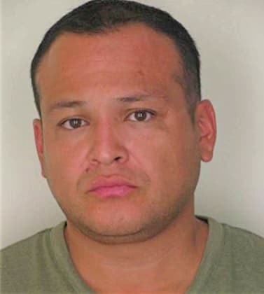 Salas Carlos - Hillsborough County, FL 