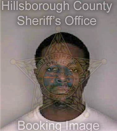 Brinson Raymond - Hillsborough County, FL 