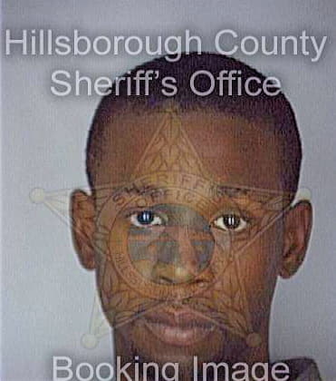 Thompson Virgil - Hillsborough County, FL 