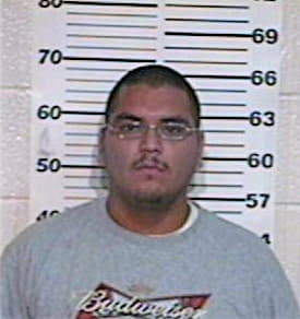 Hernandez Misael - Hidalgo County, TX 