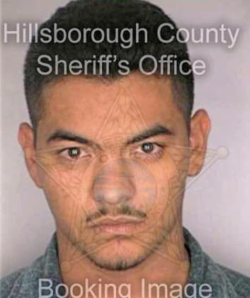 Mendoza Rigoberto - Hillsborough County, FL 