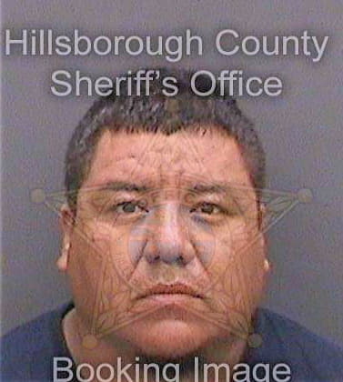 Perezalonso Luis - Hillsborough County, FL 