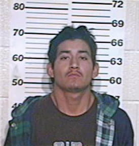 Hernandez Jesus - Hidalgo County, TX 