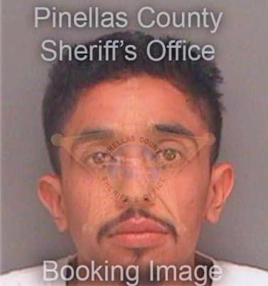 Gomez Primitivo - Pinellas County, FL 