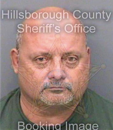 Beltrannegron Hiram - Hillsborough County, FL 