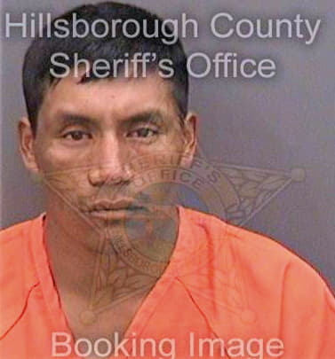 Perezandres Santiago - Hillsborough County, FL 