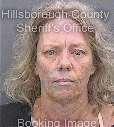 Davis Sherry - Hillsborough County, FL 