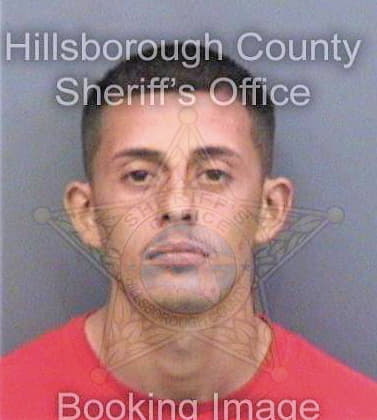 Lopez Luis - Hillsborough County, FL 