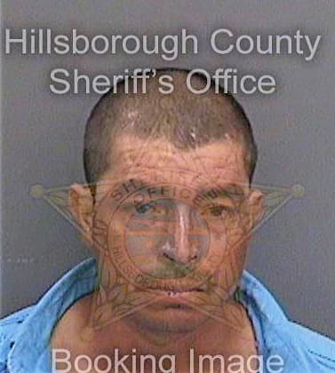 Hernandez Alfredo - Hillsborough County, FL 
