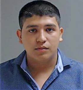 Sandoval Sergio - Hidalgo County, TX 