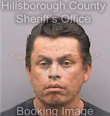 Rivasramirez Remberto - Hillsborough County, FL 