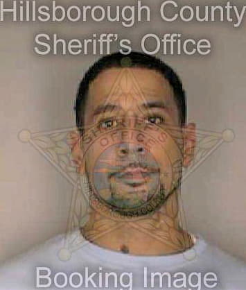 Mccoy William - Hillsborough County, FL 
