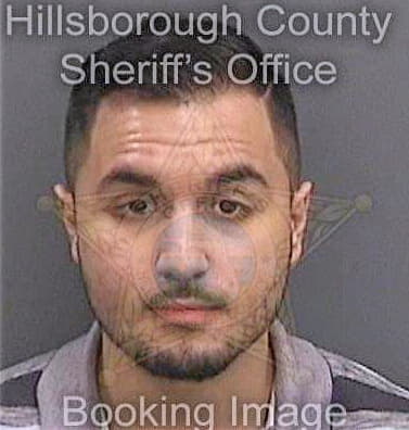 Sotomayor Ricardo - Hillsborough County, FL 