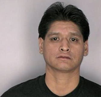 Mendozasilva Gaspar - Hillsborough County, FL 