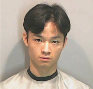 Nguyen Hieu - Dekalb County, GA 