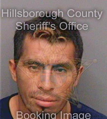 Hernandezlopez Delfino - Hillsborough County, FL 