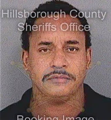 Olson Olof - Hillsborough County, FL 