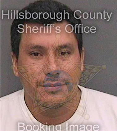 Martinezortiz Junior - Hillsborough County, FL 