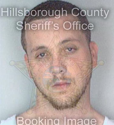 Parmer James - Hillsborough County, FL 