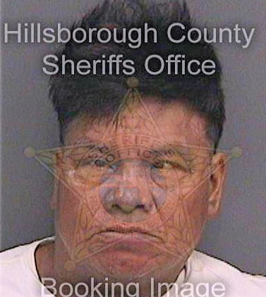 Sanchezperez Lino - Hillsborough County, FL 