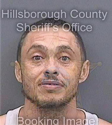 Page Gregory - Hillsborough County, FL 