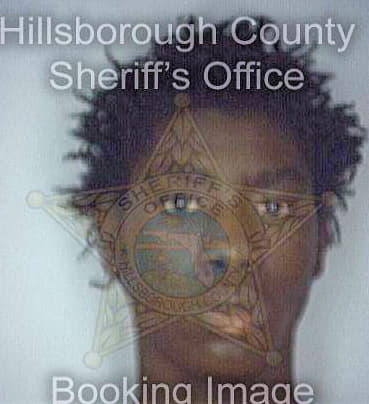 Brookins Demetrius - Hillsborough County, FL 