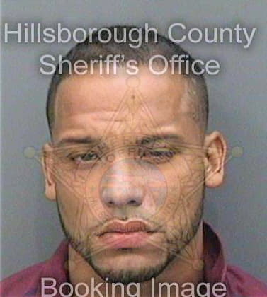 Galan Nathaniel - Hillsborough County, FL 