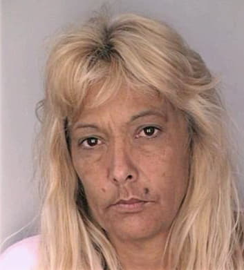 Smith Cynthia - Hillsborough County, FL 