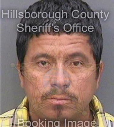 Deleon Rodolfo - Hillsborough County, FL 