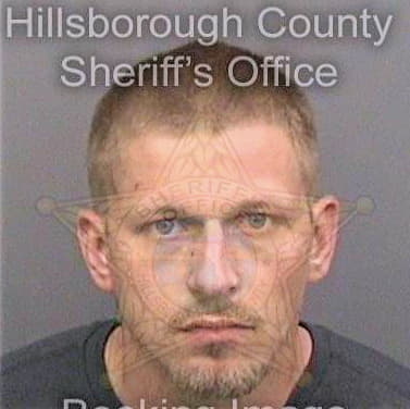 Michel David - Hillsborough County, FL 