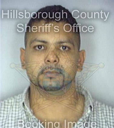 Diaz William - Hillsborough County, FL 