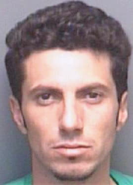 Satalino James - Pinellas County, FL 