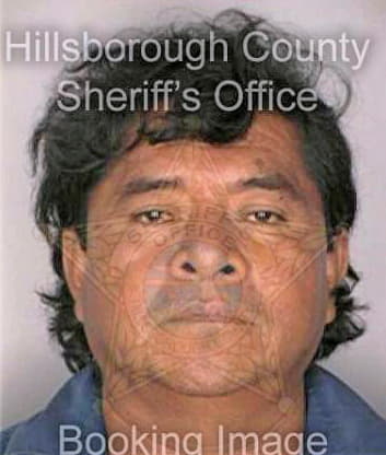 Dionicio Pedro - Hillsborough County, FL 