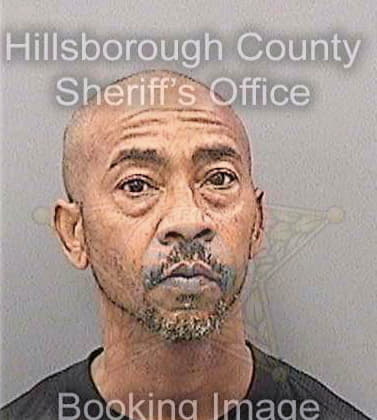 Lewis David - Hillsborough County, FL 