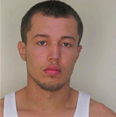 Skerrett Emmanuel - Hillsborough County, FL 