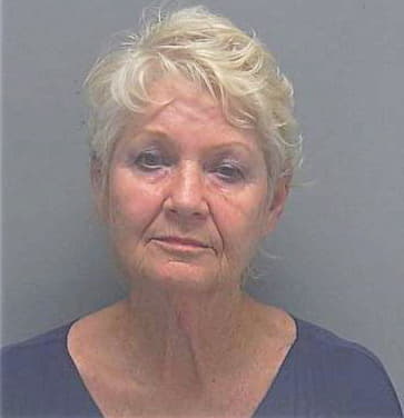 Smart Carol - Lee County, FL 