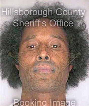 Boccio David - Hillsborough County, FL 