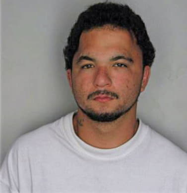 Fernandez Fernando - Hillsborough County, FL 