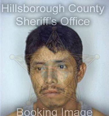 Sinto Samuel - Hillsborough County, FL 