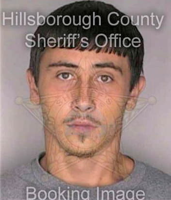 Bradley David - Hillsborough County, FL 