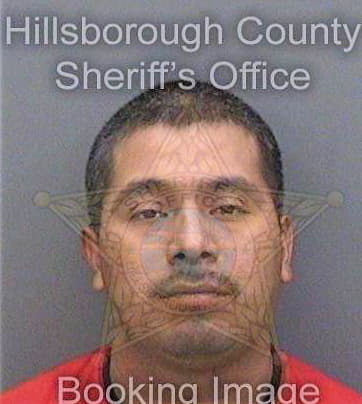 Ramirezjoaquin Domingo - Hillsborough County, FL 