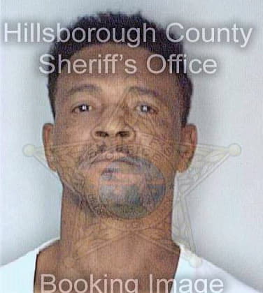 Mcfadden Curtis - Hillsborough County, FL 
