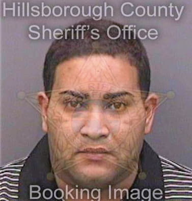 Maldonadocruz Reggie - Hillsborough County, FL 