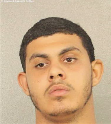 Petrov Haig - Broward County, FL 