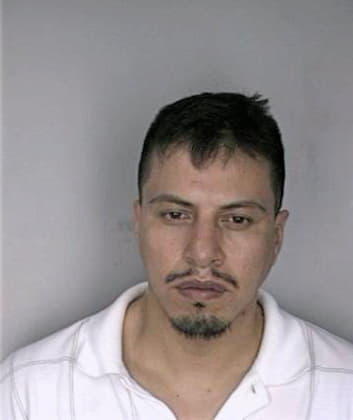 Silva Raul - Hillsborough County, FL 