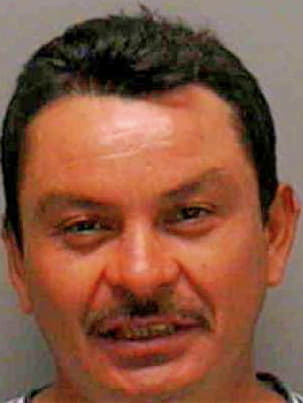 Hernandez Domingo - Lee County, FL 