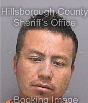 Sanchez Genaro - Hillsborough County, FL 