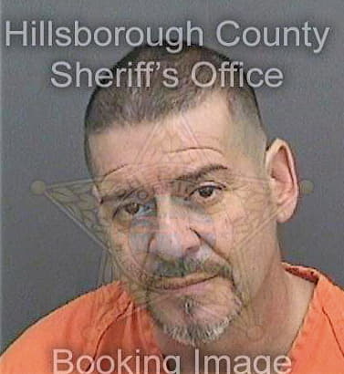 Torres Wilfredo - Hillsborough County, FL 